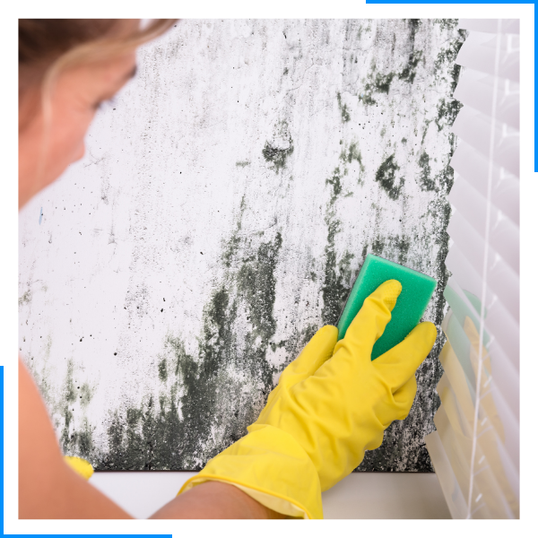 woman cleaning mold