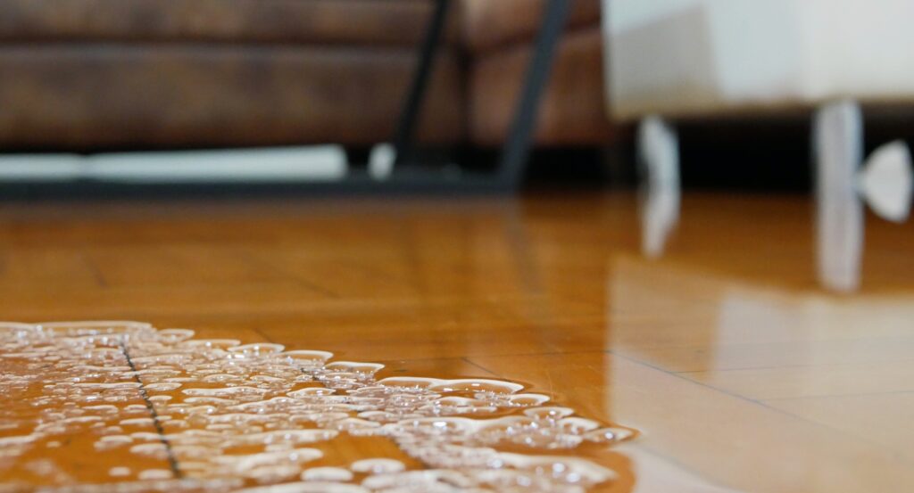 A puddle of clear water pooling on a shiny hardwood floor, signifying the beginning of water damage in a home.