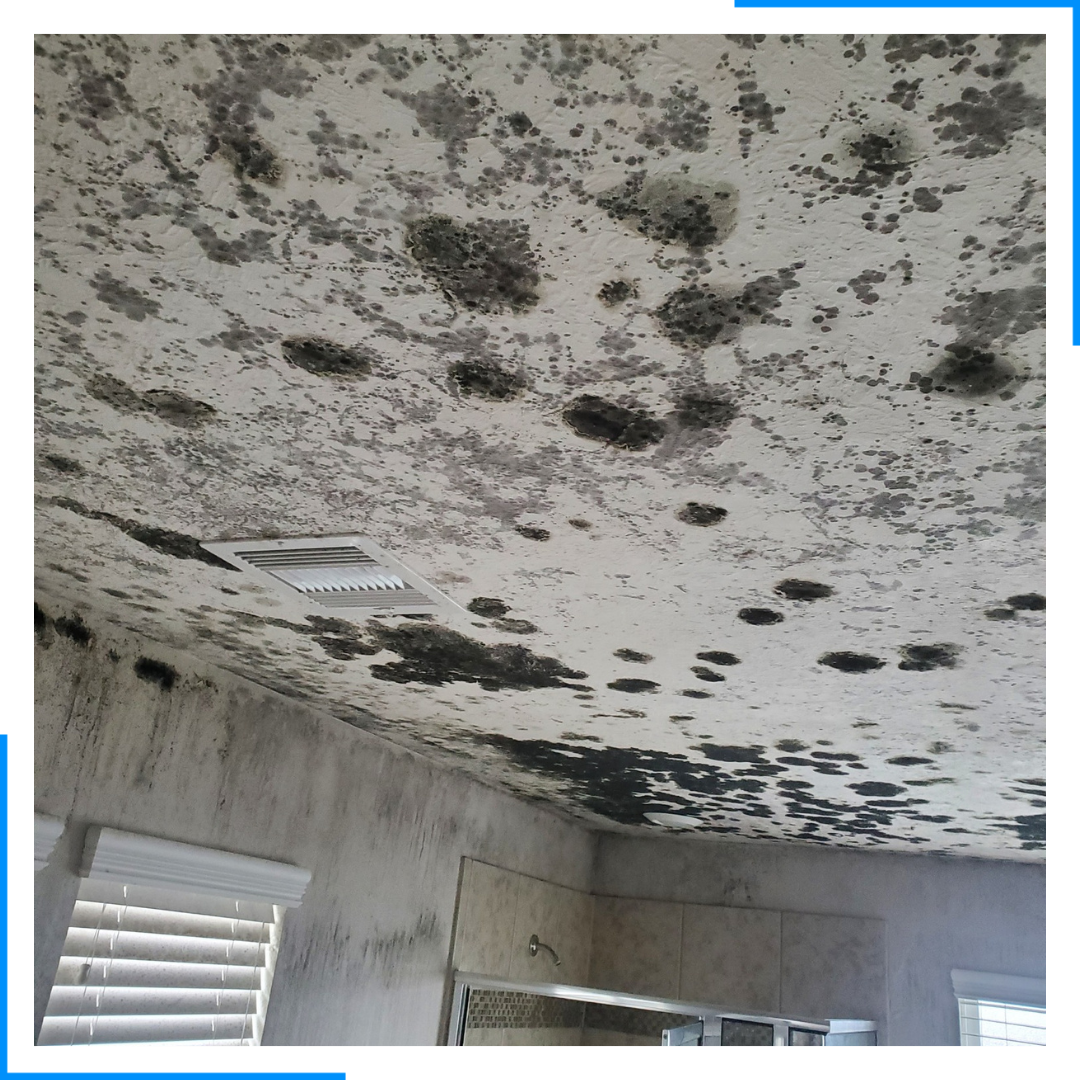 CHV - Mold 1