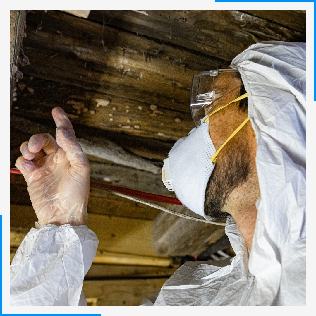 A mold remediation specialist in a white hazmat suit, mask, and safety goggles inspects and points at mold on a wooden ceiling.