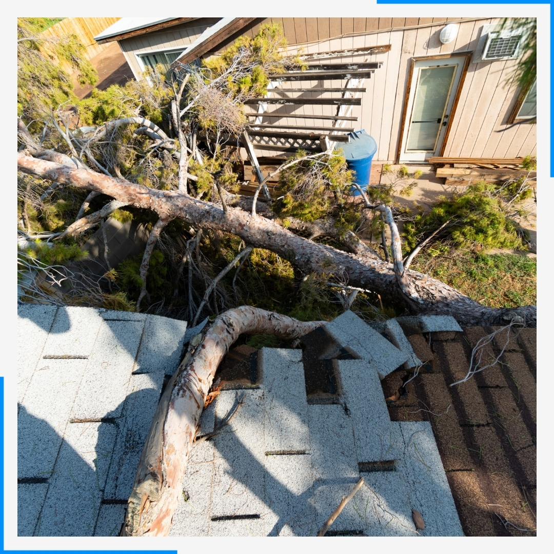 storm damage on roof