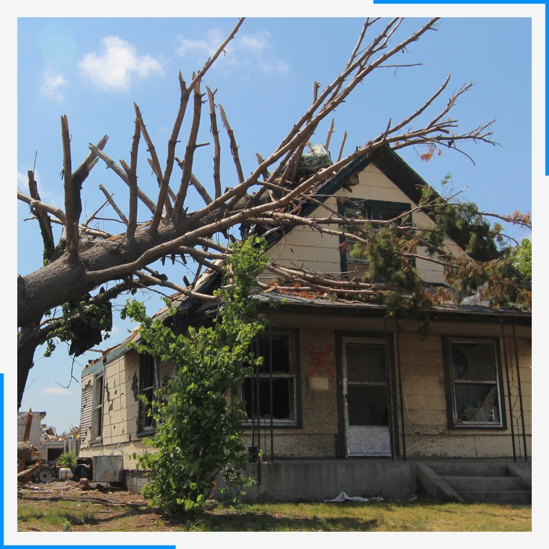 tree fall on home