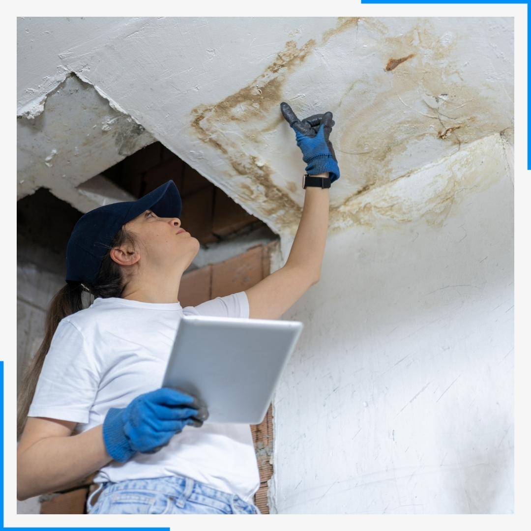 assessing water damage