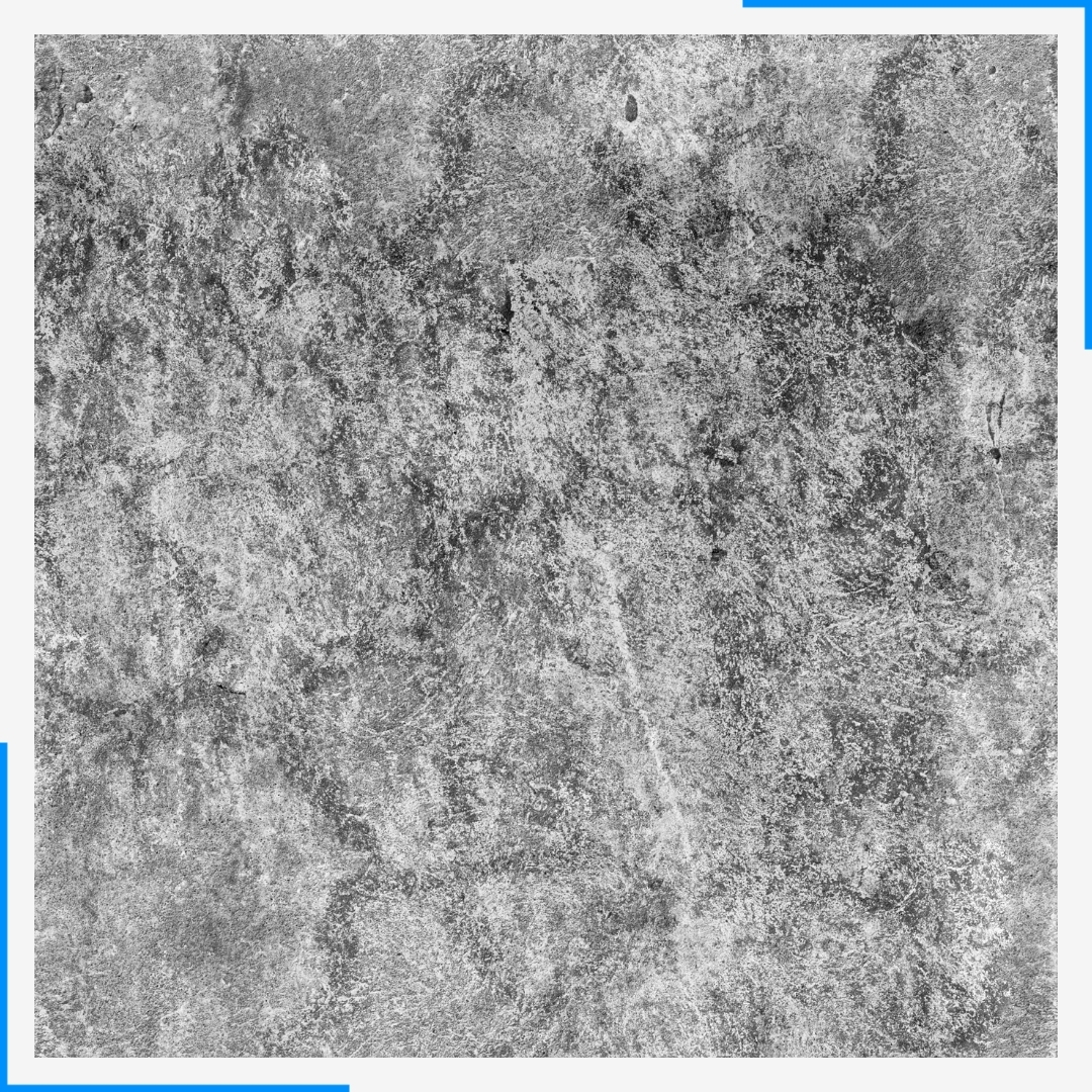 mold in home