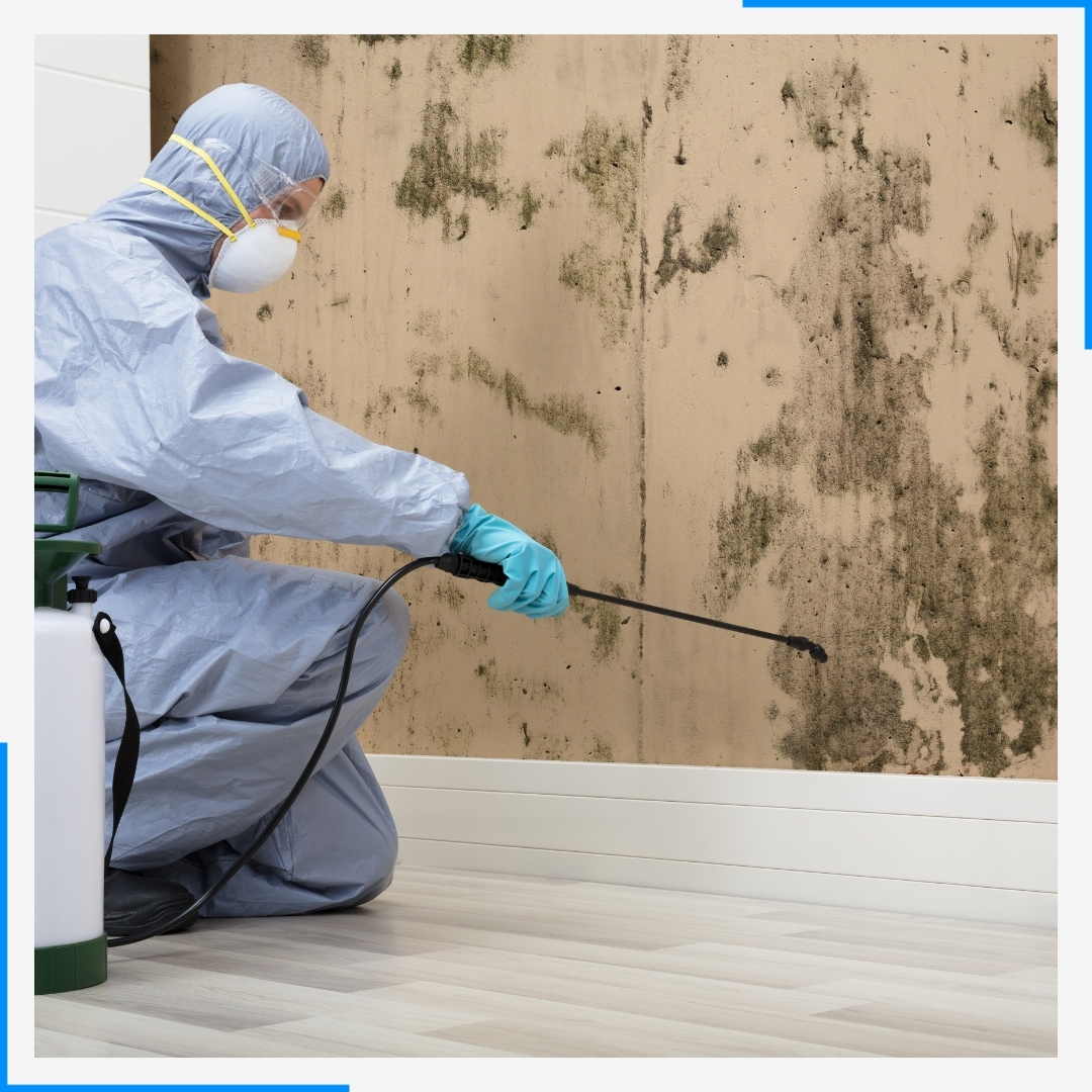 cleaning mold in home