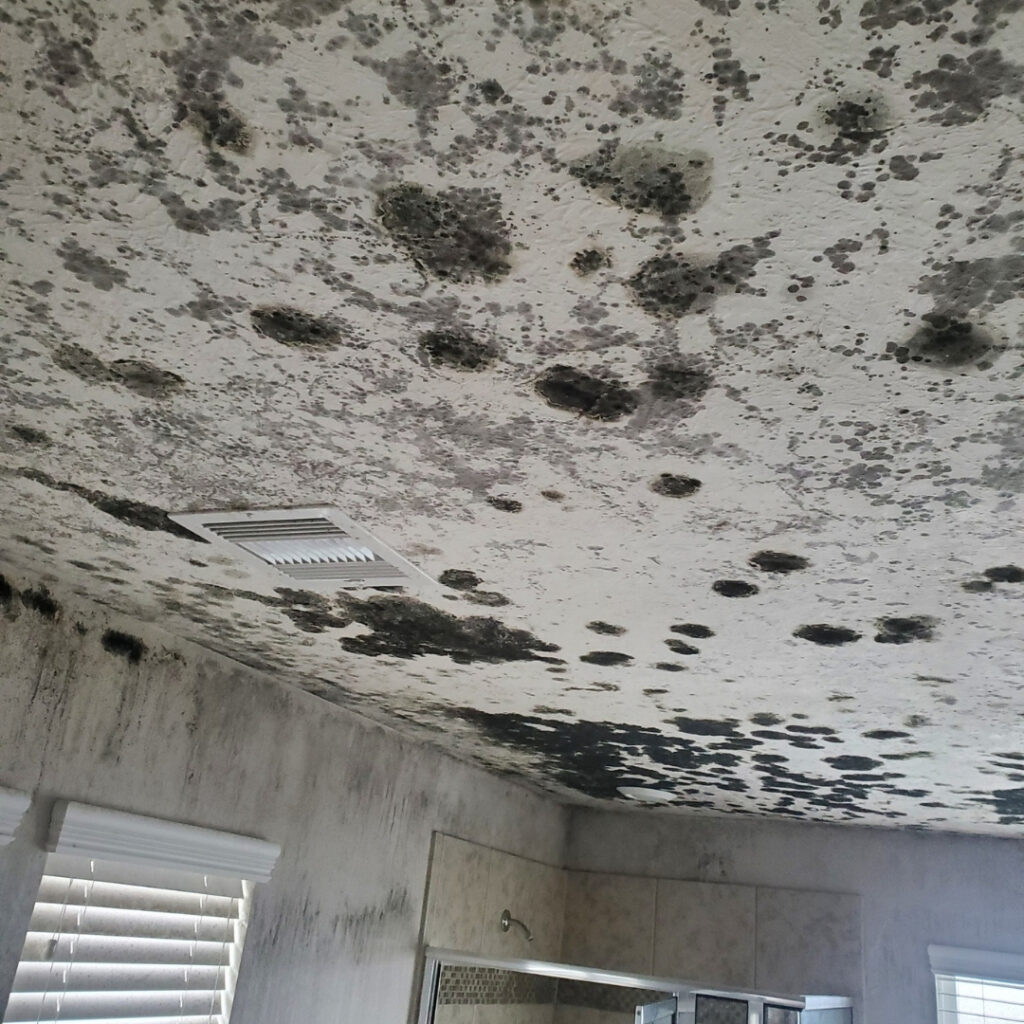 mold on ceiling