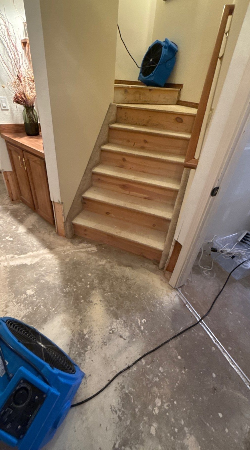 Active water damage drying job in a Colorado Springs home in the 80906 area showing strategic placement of multiple air movers across connected spaces during the structural drying phase. Best Option Restoration of Colorado Springs follows IICRC S500 standards for professional drying.