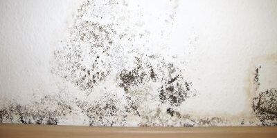 Mold Remediation