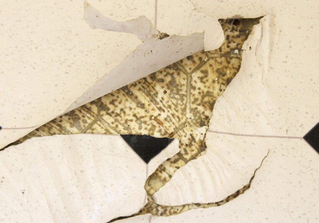 Asbestos removal vinyl flooring