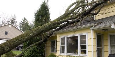 Storm Damage